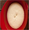 Raised Dough to Make Sourdough Bread at Home