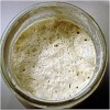 Sourdough Starter to Make Sourdough Bread at Home