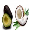Coconut oil and Avocado Treatment