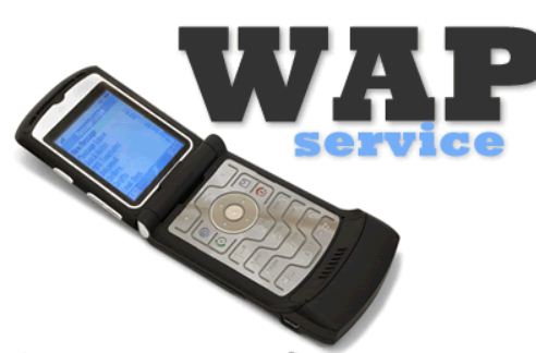 Wap url. Вап интернет. Wap на телефоне. Wireless application Protocol. Wap GPRS Internet.