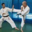 Tips about Difference Between Karate and Judo