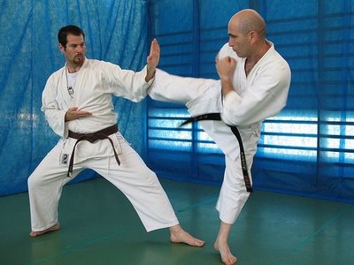 Tips about Difference Between Karate and Judo