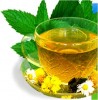 Drink Green Tea for Glowing Skin