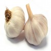Garlic Boosts Immune System