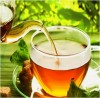 Green Tea Boosts Immune System