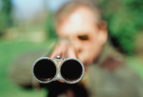 Aim a Shotgun With Open Sights