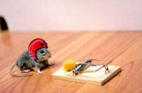 Tips to Be Determined to do Something