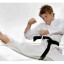 Become a Black Belt in Martial Arts