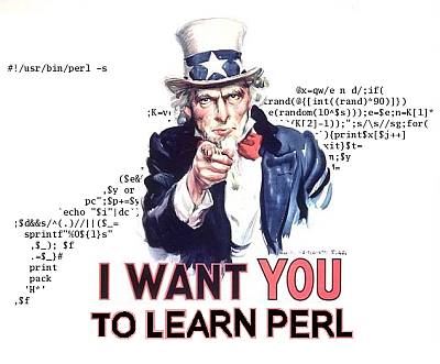 Tips about How to Become a Perl Programmer
