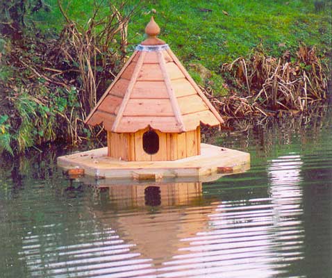 Nest Boxes for a Mallard Duck