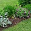Tips to Build a Courtyard Herb Garden