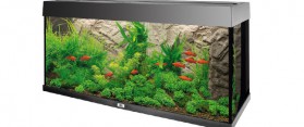 How to Build an Aquarium With Epoxy Resin