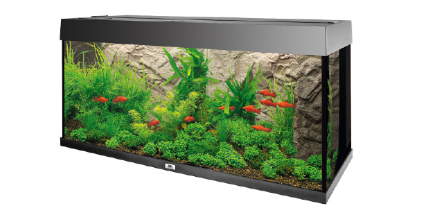 How to Build an Aquarium With Epoxy Resin