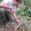 Tips about How to Build an Arapuca Bird Trap