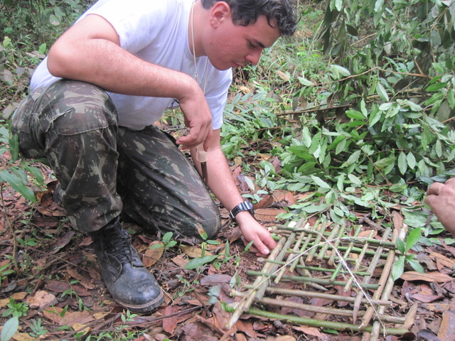 Tips about How to Build an Arapuca Bird Trap