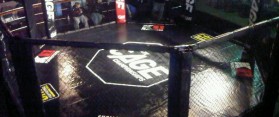 How to Build an MMA Cage