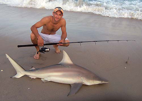 shark fishing