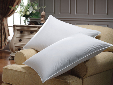 Goose Down Pillows