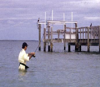 Tips to Catch a Snook on a Fly Rod