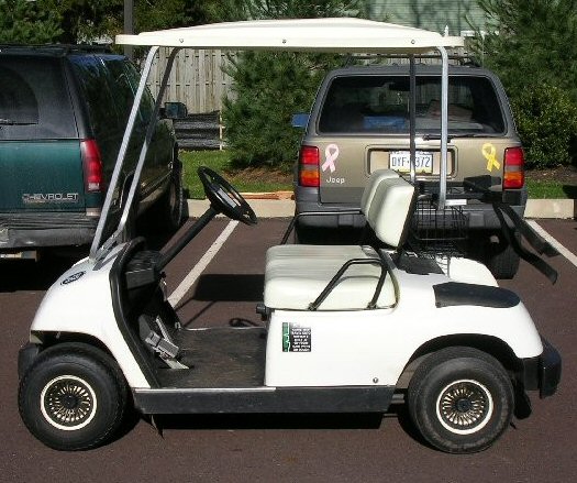 Gas Golf Cart