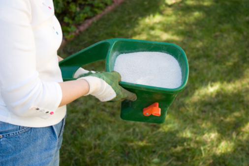 Tips about How to Choose Fertilizer for the Yard