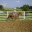 Construct a Round Pen for a Horse
