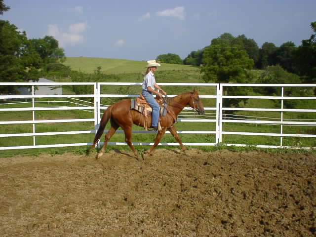 Construct a Round Pen for a Horse