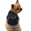 Creating Custom T-Shirts for Dogs