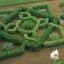 Tips about How to Create a Knot Garden