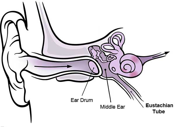 dealing with patulous eustachian tubes