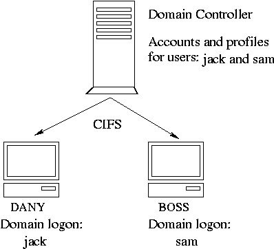 A Primary Domain Controller in a Microsoft network