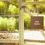 Design an Herb Garden