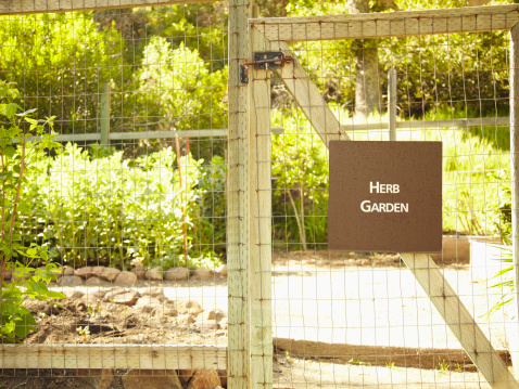 Design an Herb Garden