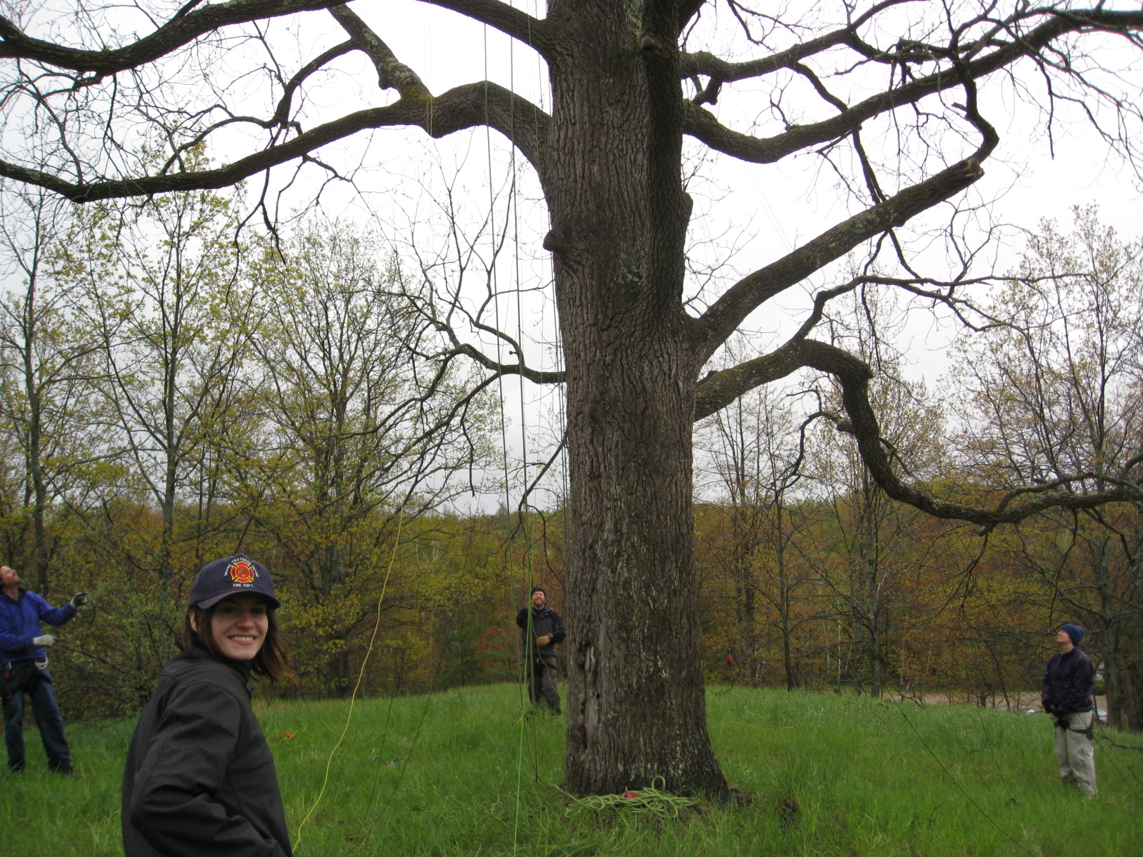 Recreational Tree Climbing