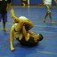 Triangle Choke in Mixed Martial Arts