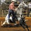 Calf roping event in a rodeo