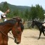 Horse Riding Instructor