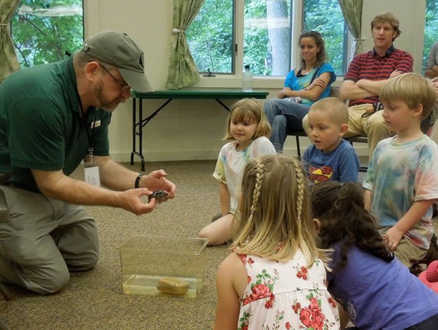 Tips to Find a Summer Job as a Naturalist