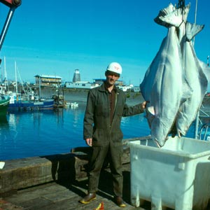 Halibut in California