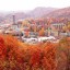 Tips about How to Get Around Town in Gatlinburg