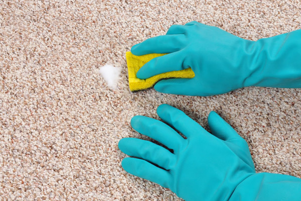 Get Hair Shampoo Out Of Carpets