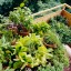 Tips about How to Grow Herbs for Profit at Home