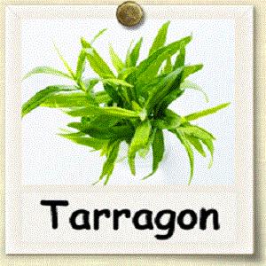 Tarragon at Home