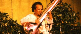 Sitar Teacher in action