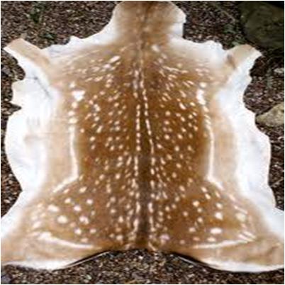 Deer Skin