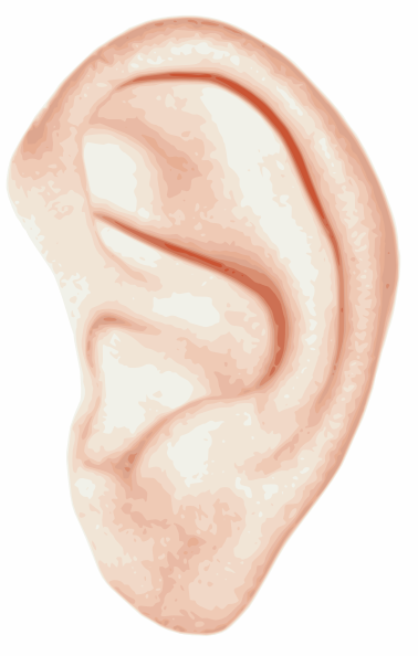 ears