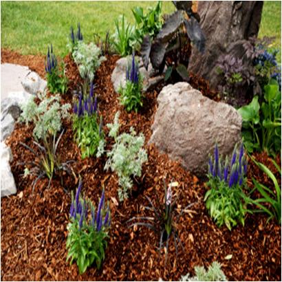 Apply Mulch On Your Garden