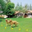 Lay an Electric Dog Fence