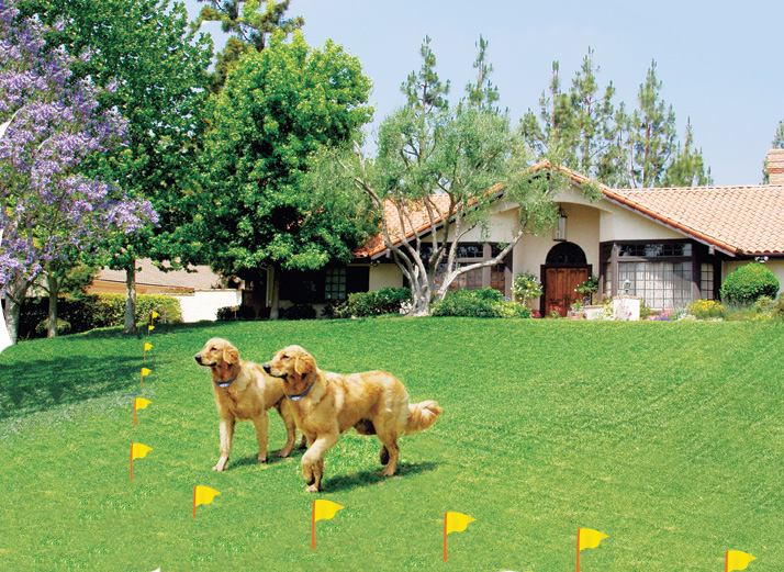 Lay an Electric Dog Fence