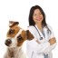 Tips to Lower Creatinine in Dogs with Kidney Failure